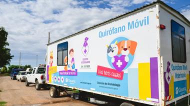 Olavarría: Calendario del Quirófano Veterinario Móvil