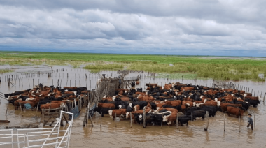 ARCA da alivio impositivo a productores bonaerenses afectados por inundaciones