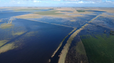 Nación prorrogó la emergencia agropecuaria en 9 municipios bonaerenses
