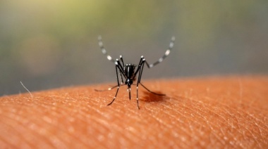 Dengue: aumentaron un 163% los casos en una semana en la provincia