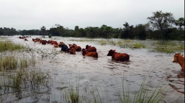 Casi 50 mil hectáreas del partido de Bolívar fueron afectadas por las lluvias