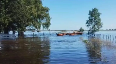 Bomberos Voluntarios trabajan en la cuenca del arroyo Vallimanca y solicitaron a los vecinos estar alerta