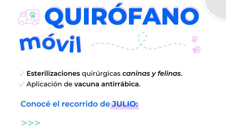 Olavarría: Quirófano Veterinario Móvil castraciones en barrio Amparo Castro y en Sierras Bayas