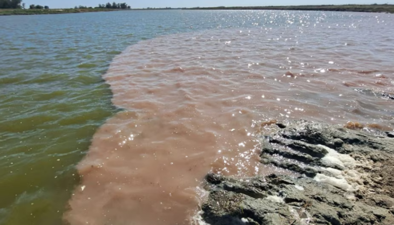 Procesaron al presidente de un frigorífico por contaminar el Río Salado