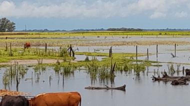 Doce municipios bonaerenses serán declarados en emergencia agropecuaria por exceso hídrico