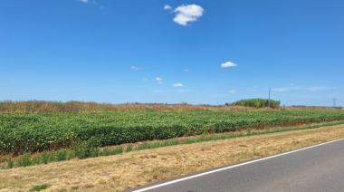 Buscan habilitar la siembra en 50.000 hectáreas al costado de rutas nacionales
