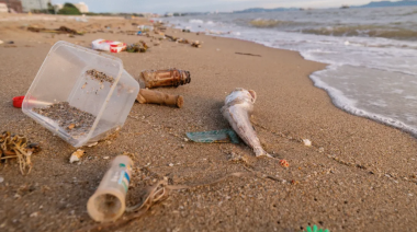 Vuelve el censo de basura costera: será el sábado en 22 localidades bonaerenses