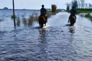 La Provincia prorrogó la emergencia agropecuaria en distritos afectados por inundaciones