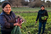 Olavarría será sede del 3° Encuentro de Mujeres Rurales en Red