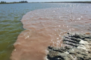 Procesaron al presidente de un frigorífico por contaminar el Río Salado