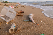 Vuelve el censo de basura costera: será el sábado en 22 localidades bonaerenses