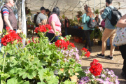 Cazón, el pueblo de los viveros, abre su Expo en el fin de semana largo