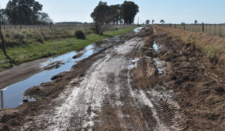 El 79% de los productores bonaerenses calificó de malos los caminos rurales
